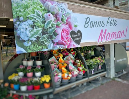 Bâche fête des mères avec foureau soudé 3m pour store banne Fleuriste