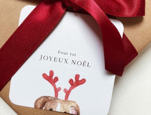 Cartes de Noël petit renne avec 4 angles arrondis 9mm – Création pack 350gr/m2
