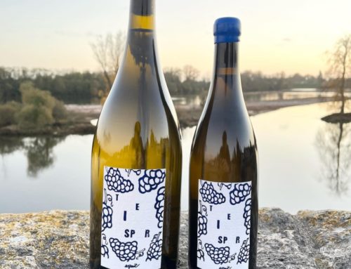 Etiquettes texturées pour bouteille de vin de loire – Marquage à chaud Bleu avec gaufrage et débossage – Tintoretto gesso – découpe mi-chaire – Magnum et Jéroboam