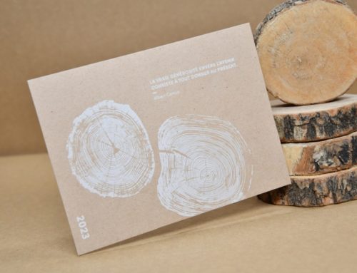 Cartes de voeux naturelle  veinage bois – Impression  blanche numérique sur papier recyclé à base de coque de Cacao – Cocoa Shell 300g