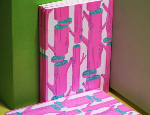 Carnet de notes avec papier upcyclé – Reliure dos carré collé – Impression offset Pantone Fluo Rose 906 et Vert 333