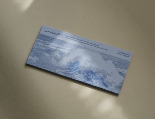 Carton de certificat oeuvre d’art – Impression letterpress demi tons en creux Pantone 294U – Gmund Color Matt 44